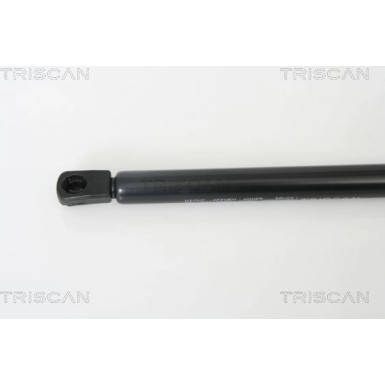Gasfeder, Koffer-/Laderaum | 871029272