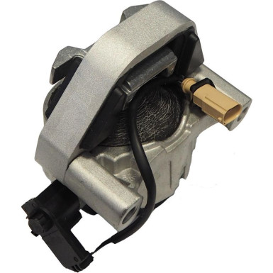 CORTECO Lagerung, Motor