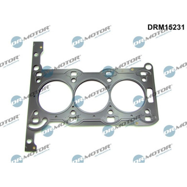 DRM15231 Dichtung, Zylinderkopf