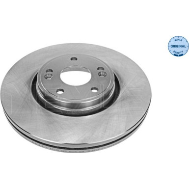 Bremsscheibe Renault P. Laguna | 16-15 521 0015