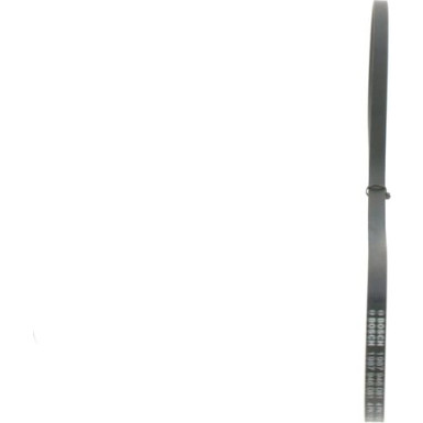 1 987 946 081 Keilrippenriemen