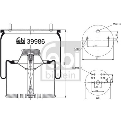 FEBI BILSTEIN Luftfeder | 39986