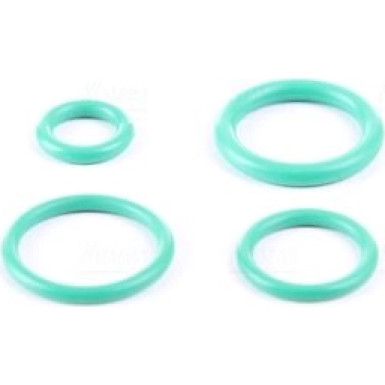 Expansionsventil, Klimaanlage Renault Clio 05 FIRST FIT 999351