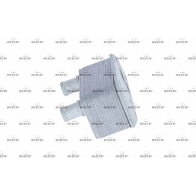 Ölkühler, Motor“L | 31216