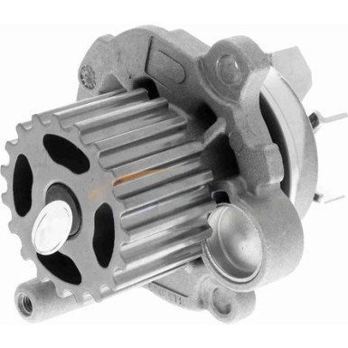VAICO Wasserpumpe V10-50052