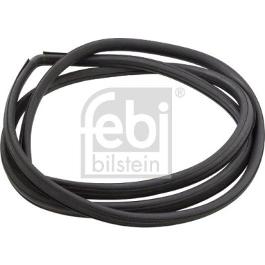 FEBI BILSTEIN Dichtung, Windschutzscheibe | 02752
