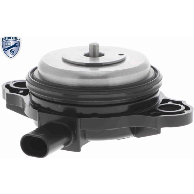 VAICO Zentralmagnet, Nockenwellenverstellung VAICO Zentralmagnet, Nockenwellenverstellung