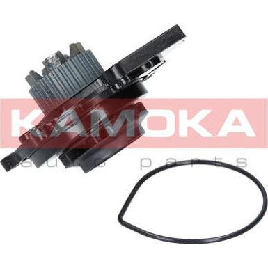 KAMOKA Wasserpumpe | T0031