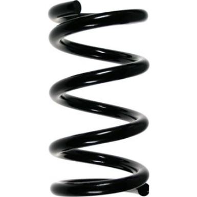 SPIDAN Fahrwerksfeder 55356