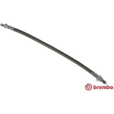 BREMBO Bremsschlauch | T 24 009