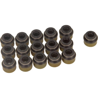 12-31306-12 Dichtungssatz, Ventilschaft