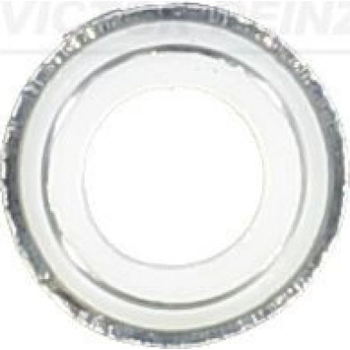 Dichtung Ventilschaft(4-8x/Mot) | RENAULT,VOLVO | 70-25792-00