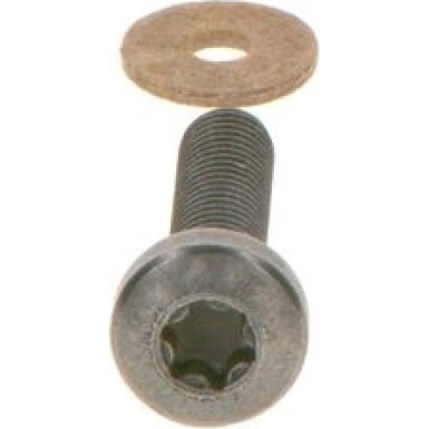 Torx-Linsenschraube | Diverse | F 00N 202 193