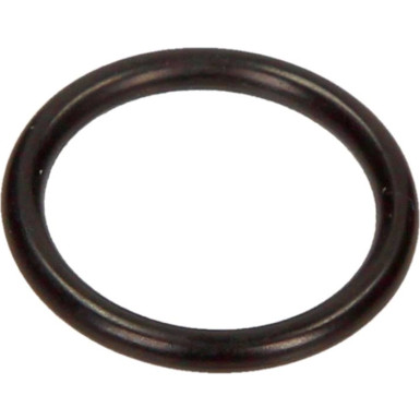 O-Ring | OE | 1460210321