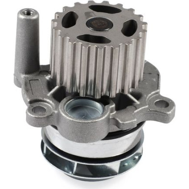 HEPU Wasserpumpe P550