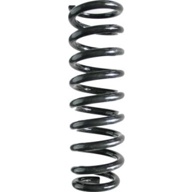 SPIDAN Fahrwerksfeder | 49519