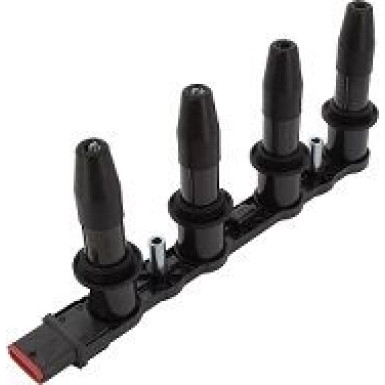 BorgWarner (BERU) Zündspule ZS427