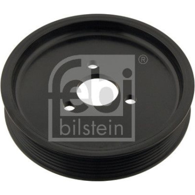 Riemenscheibe, Servopumpe | 30123