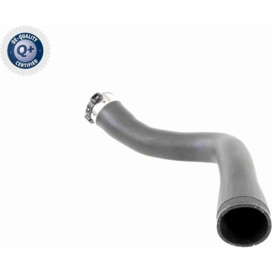 VAICO Ladeluftschlauch VAICO Ladeluftschlauch