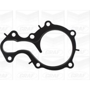 PA 1247 Wasserpumpe | FORD Focus 1.0 EcoBoost 12 | PA1247 PA 1247 Wasserpumpe | FORD Focus 1.0 EcoBoost 12 | PA1247