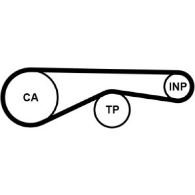 Zahnriemen | CT1194