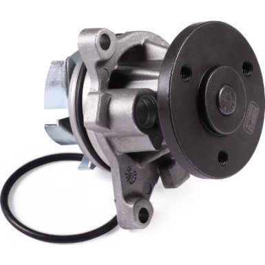 HEPU Wasserpumpe P251 HEPU Wasserpumpe P251