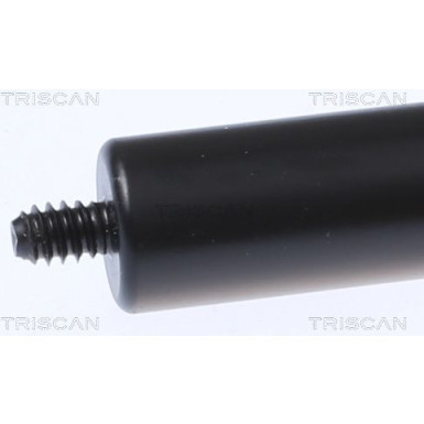 GASFEDER, MOTORHAUBE 871023134