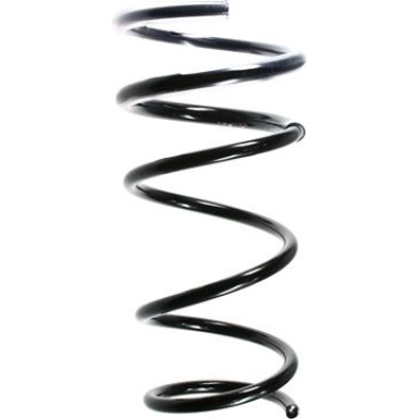 SPIDAN Fahrwerksfeder 49281