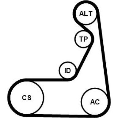 CONTINENTAL CTAM Keilrippenriemensatz 6PK1173K2