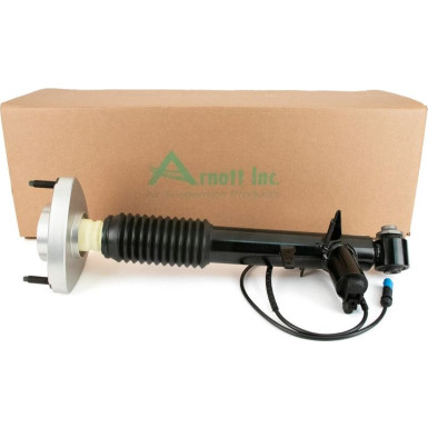 Stoßdämpfer HA li/re | BMW X5,X6 13 | SK-3817 Stoßdämpfer HA li/re | BMW X5,X6 13 | SK-3817