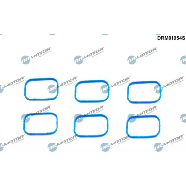 DRM01954S Dichtungssatz, Ansaugkrümmer