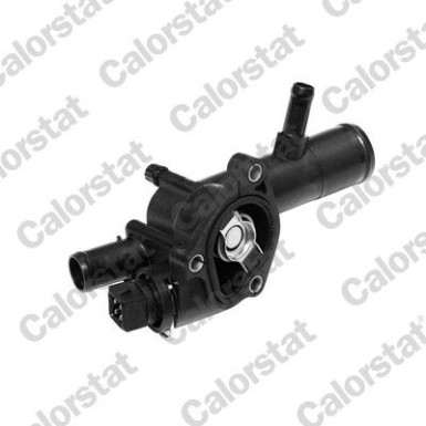 Thermostat, Kühlmittel | TH6666.89J