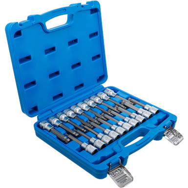 BGS Bit-Einsatz-Satz | Antrieb Innenvierkant 12,5 mm (1/2"""") | Innensechskant, T-Profil (für Torx), Innenvielzahn (für XZN) mit Kugelkopf | 20-tlg | 5170
