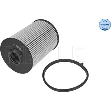 Kraftstofffilter Volvo C30/C70 2.4D 06 MEYLE-ORIGINAL: True to OE 514 323 0009