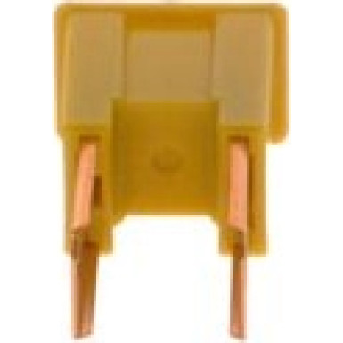 1 987 529 071 Sicherung