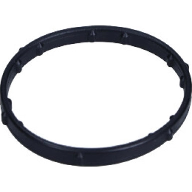 Original VAG Thermostatdichtung Audi A6 3.0 Tfsi 13 | 06E121119G