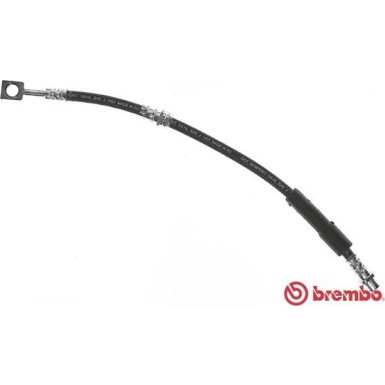 BREMBO Bremsschlauch | T 59 080