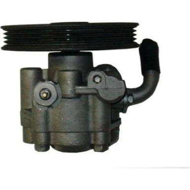 SPIDAN Hydraulikpumpe 53782 SPIDAN Hydraulikpumpe 53782