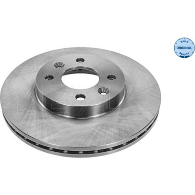 Bremsscheibe Renault P. Laguna | 16-15 521 0001