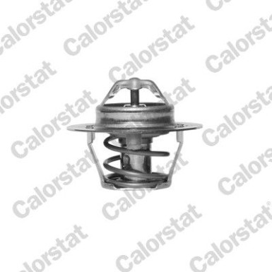 Thermostat, Kühlmittel | TH5977.88J