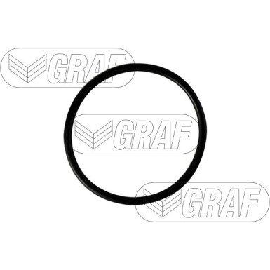 PA 875 Wasserpumpe | SEAT,SKODA,VW Polo 1.9SDI | PA875 PA 875 Wasserpumpe | SEAT,SKODA,VW Polo 1.9SDI | PA875