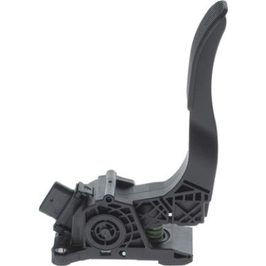 Fahrpedalmodul | Diverse | 0 280 755 02V