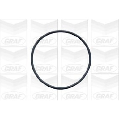 PA 424 Wasserpumpe | VW T4 90 | PA424