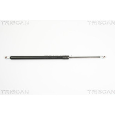 GASFEDER, KOFFER-/LADERAUM | 871029277