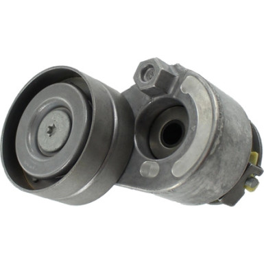 Spannrolle Multi-V | RENAULT,OPEL,NISSAN,MITS,VOLVO | VKM 36030