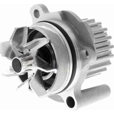 VAICO Wasserpumpe V10-50052