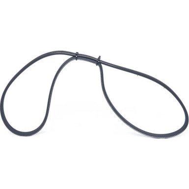 1 987 947 886 Keilrippenriemen