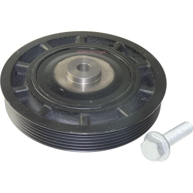 CORTECO Samen 80004894