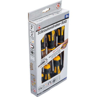 BGS Schraubendreher-Satz | T-Profil (für Torx) T10 - T30 | 6-tlg | 35826