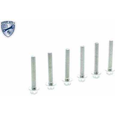 VAICO Hydraulikfiltersatz, Automatikgetriebe V30-7550 Expert Kits +